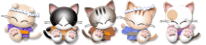 Katten Lijnen 