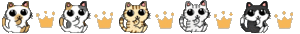 Katten Lijnen 