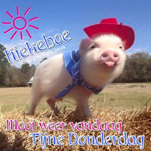 Nog 1 dag werken en dan vakantie