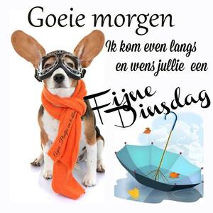 Dinsdag Facebook plaatjes Goedemorgen ik kom even langs en wens jullie een fijne dinsdag 