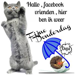 Donderdag Facebook plaatjes Hallo facebook vrienden hier ben ik weer fijne donderdag 