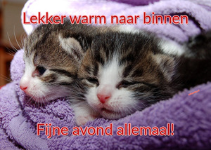 Fijne avond Facebook plaatjes Fijne avond allemaal Lekker warm naar binnen 