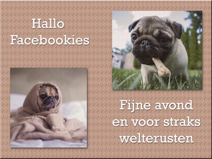 Fijne avond Welterusten Facebook plaatjes Hallo facebookies 