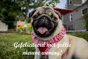 Facebook plaatjes Nieuwe woning Mopshond Gefeliciteerd met jullie nieuwe woning 