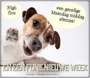 Maandag Facebook plaatjes Gezellige maandag middag allemaal en een fijne nieuwe week 