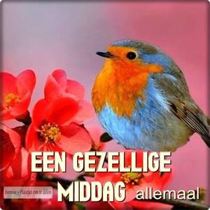 Facebook plaatjes Middag Een gezellige middag allemaal 