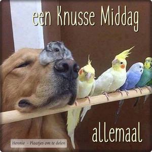 Facebook plaatjes Middag Knusse middag allemaal 