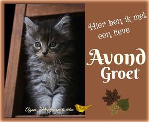 Fijne avond Facebook plaatjes Hier ben ik met een lieve avond groet 