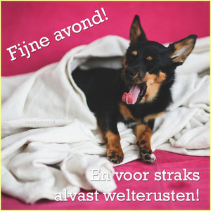 Fijne avond Facebook plaatjes Voor straks alvast welterusten 