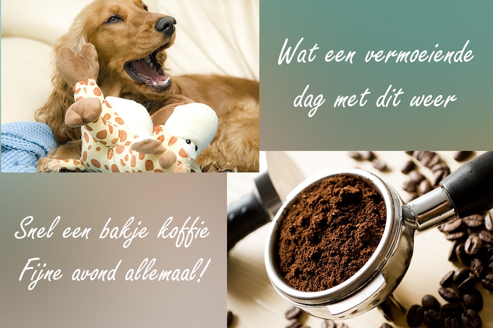 Fijne avond Facebook plaatjes Wat een vermoeiende dag Snel een bakje koffie 