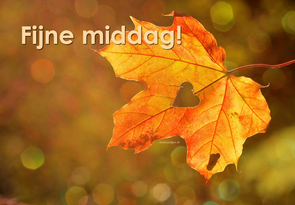 Herfst Fijne middag Facebook plaatjes 