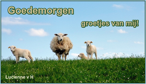 Goedemorgen Facebook plaatjes 