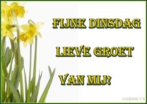 Plaatjes Dinsdag Narcis 