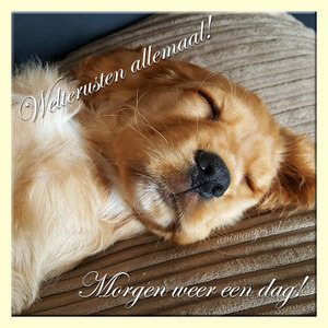 Welterusten Facebook plaatjes Morgen weer een dag 