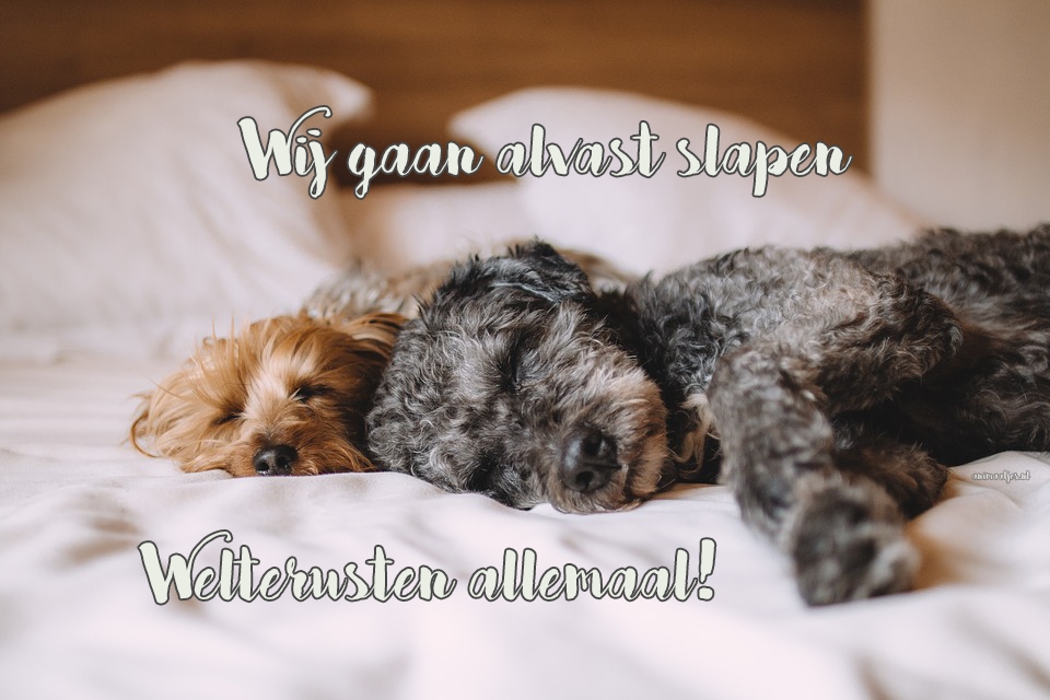 Welterusten Facebook plaatjes Wij gaan alvast slapen 