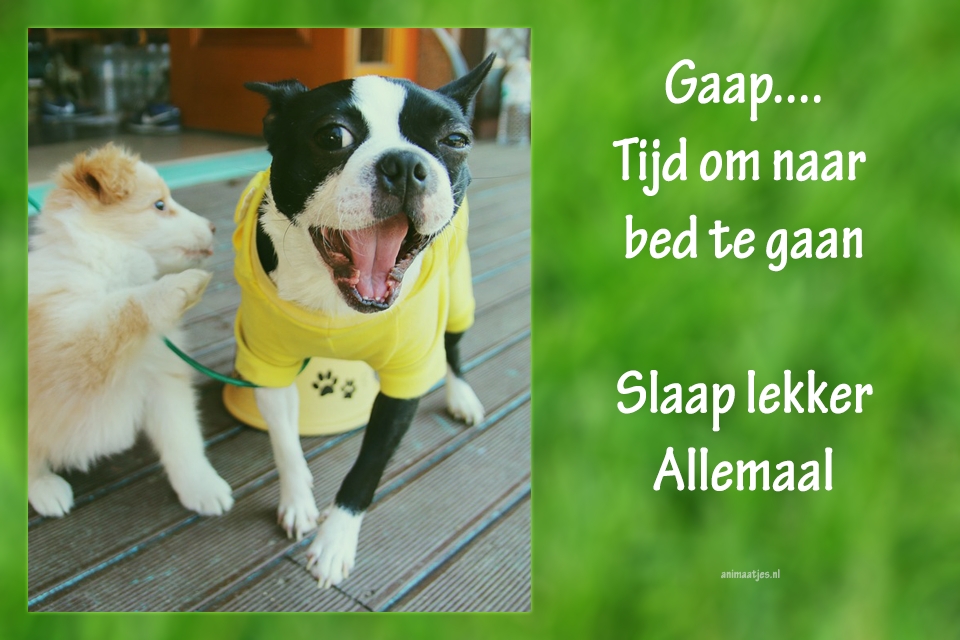 Welterusten Slaap lekker Facebook plaatjes Tijd om naar bed te gaan 