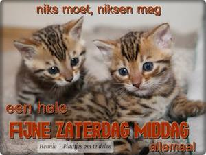 Zaterdag Facebook plaatjes Niks moet niksen mag een hele fijne zaterdag middag 