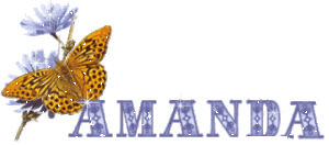 Amanda Naamanimaties 