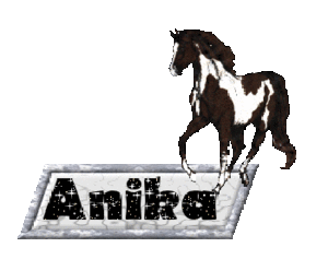 Anika Naamanimaties Paard Zwart En Witte Plekken