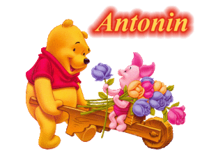 Naamanimaties Antonin 