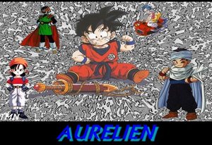 Naamanimaties Aurelien 