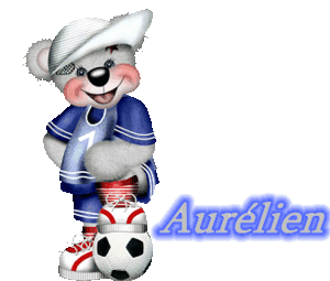 Naamanimaties Aurelien 