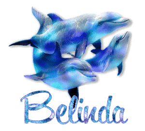Naamanimaties Belinda Belinda Dolfijnen