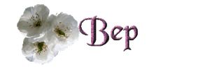 Naamanimaties Bep 