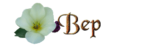 Naamanimaties Bep 