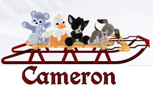 Cameron Naamanimaties 