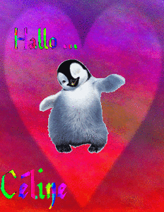 Celine Naamanimaties Hello Celine Pinguin