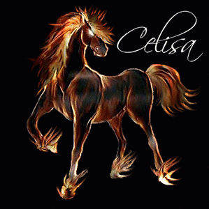 Naamanimaties Celisa 