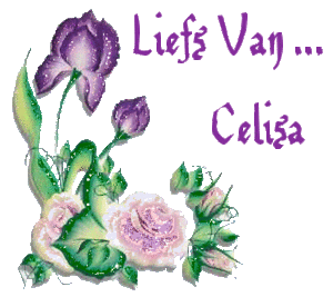 Naamanimaties Celisa 