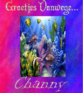 Naamanimaties Channy 