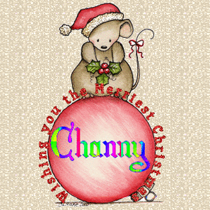 Naamanimaties Channy 