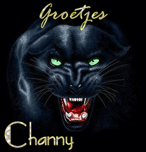 Naamanimaties Channy 