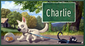 Charlie Naamanimaties 