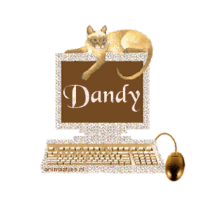Naamanimaties Dandy 
