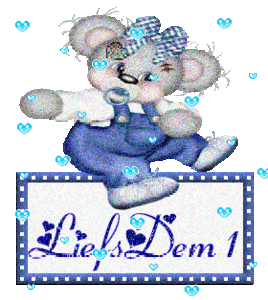 Naamanimaties Dem 