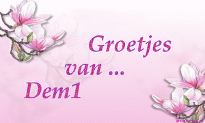 Naamanimaties Dem 