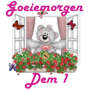 Naamanimaties Dem 