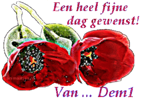 Naamanimaties Dem 