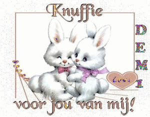 Naamanimaties Dem 