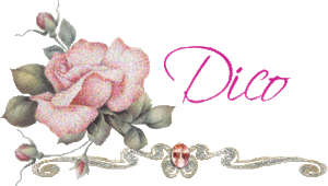 Naamanimaties Dico 