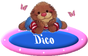Naamanimaties Dico 