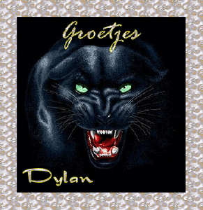 Dylan Naamanimaties 