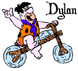 Dylan Naamanimaties 