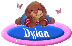 Dylan Naamanimaties 