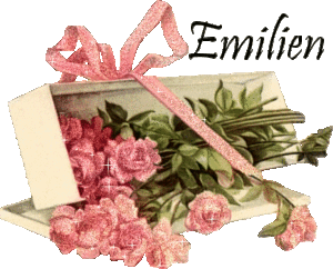 Naamanimaties Emilien 