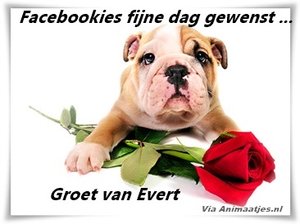 Naamanimaties Evert 